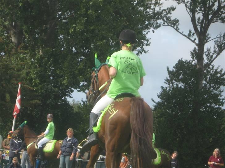 Gørlev Heste-og kræmmermarked :D billede 134