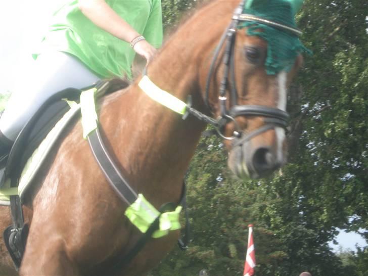 Gørlev Heste-og kræmmermarked :D billede 135