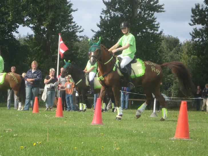 Gørlev Heste-og kræmmermarked :D billede 137