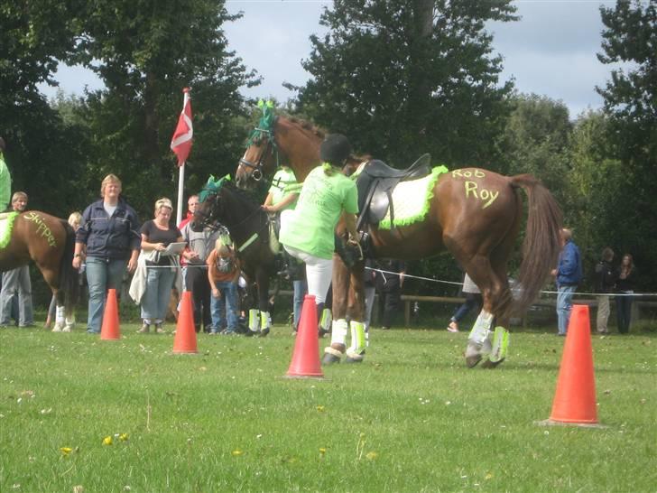 Gørlev Heste-og kræmmermarked :D billede 138