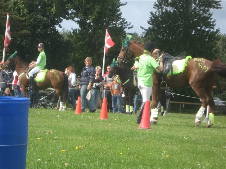 Gørlev Heste-og kræmmermarked :D billede 139
