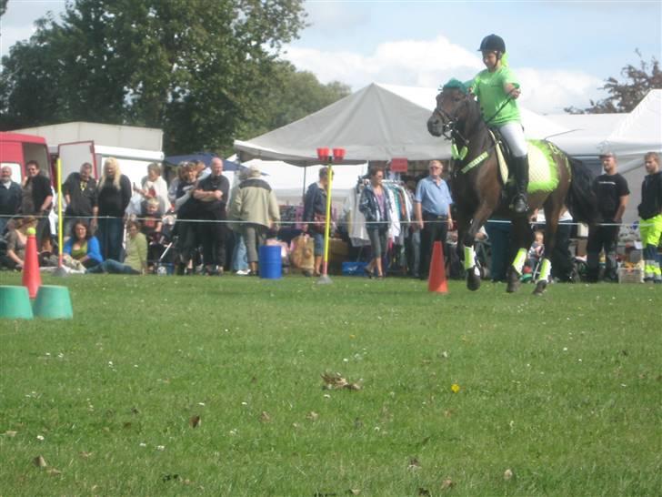 Gørlev Heste-og kræmmermarked :D billede 144