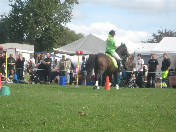 Gørlev Heste-og kræmmermarked :D billede 145