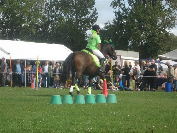 Gørlev Heste-og kræmmermarked :D billede 146