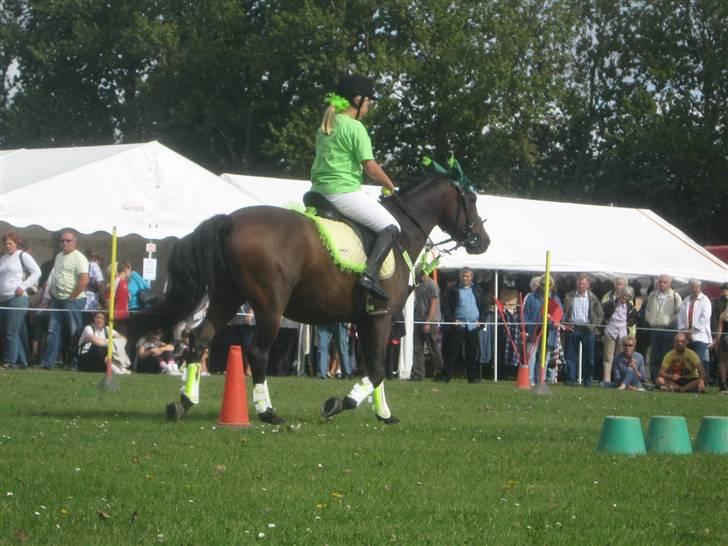 Gørlev Heste-og kræmmermarked :D billede 147