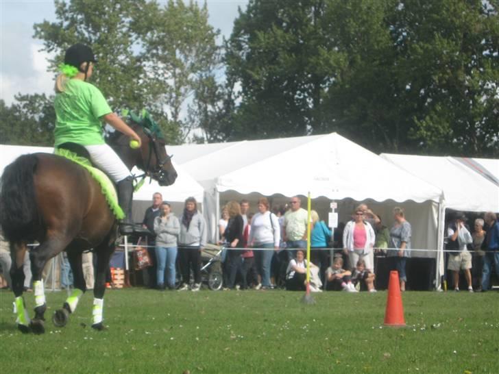 Gørlev Heste-og kræmmermarked :D billede 148