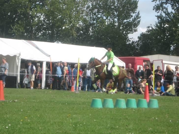 Gørlev Heste-og kræmmermarked :D billede 149