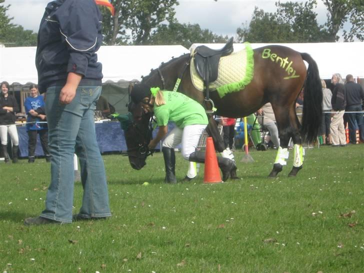 Gørlev Heste-og kræmmermarked :D billede 152