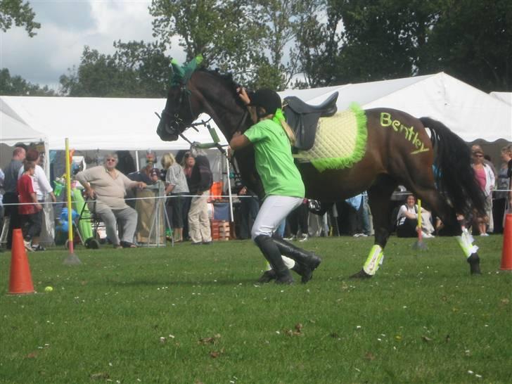 Gørlev Heste-og kræmmermarked :D billede 153