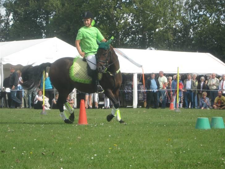 Gørlev Heste-og kræmmermarked :D billede 154