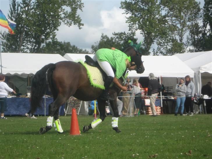 Gørlev Heste-og kræmmermarked :D billede 155