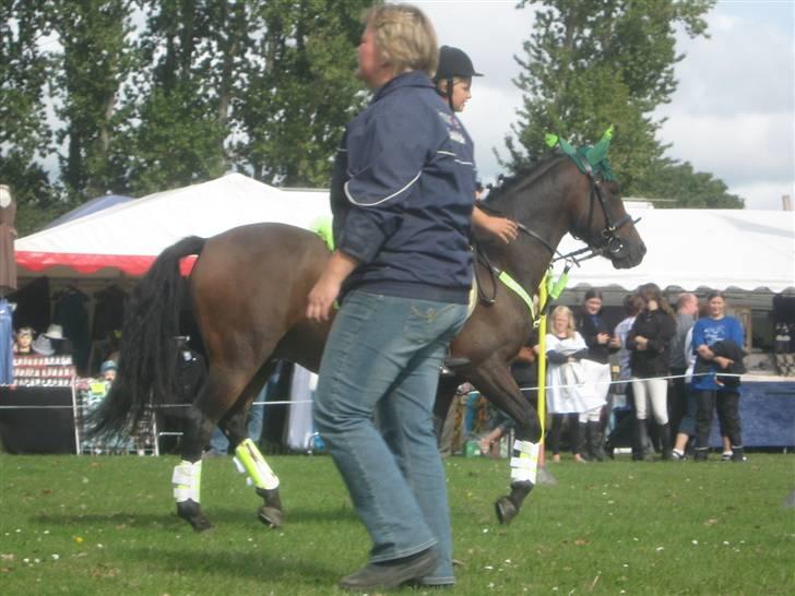 Gørlev Heste-og kræmmermarked :D billede 156