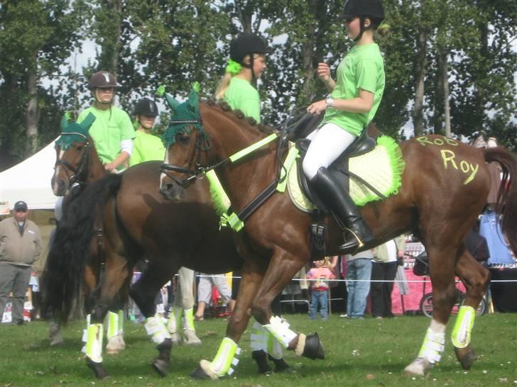 Gørlev Heste-og kræmmermarked :D billede 157