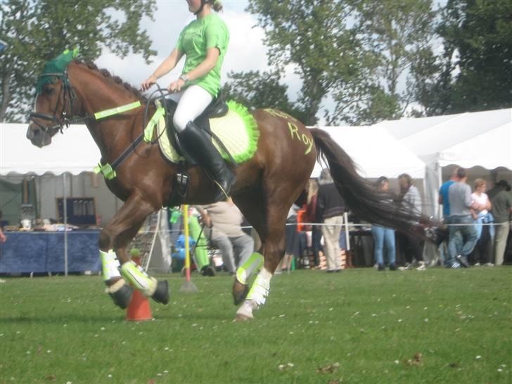 Gørlev Heste-og kræmmermarked :D billede 158