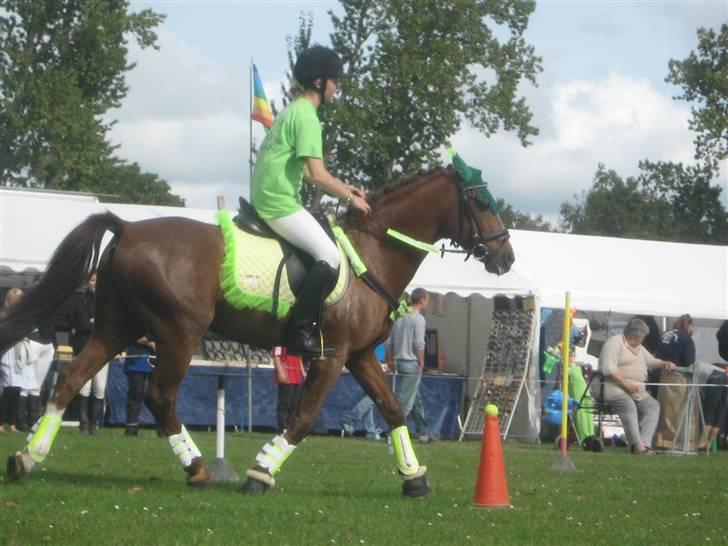 Gørlev Heste-og kræmmermarked :D billede 160