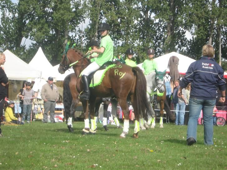 Gørlev Heste-og kræmmermarked :D billede 170