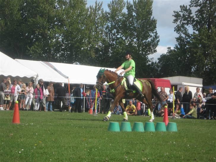 Gørlev Heste-og kræmmermarked :D billede 172