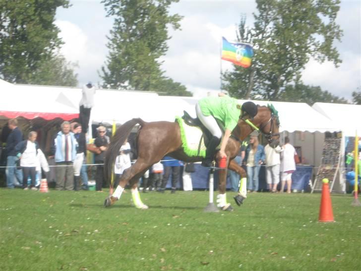 Gørlev Heste-og kræmmermarked :D billede 173