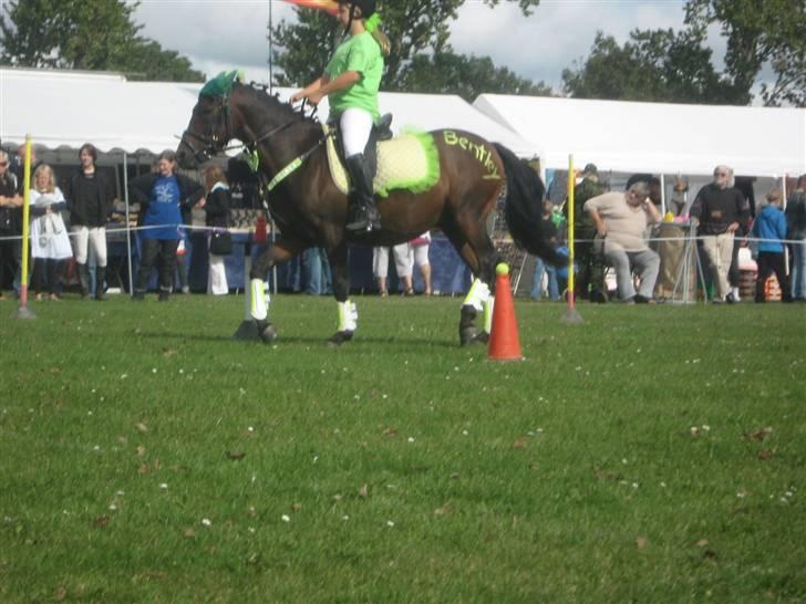 Gørlev Heste-og kræmmermarked :D billede 174