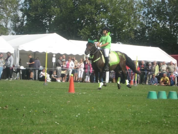 Gørlev Heste-og kræmmermarked :D billede 175