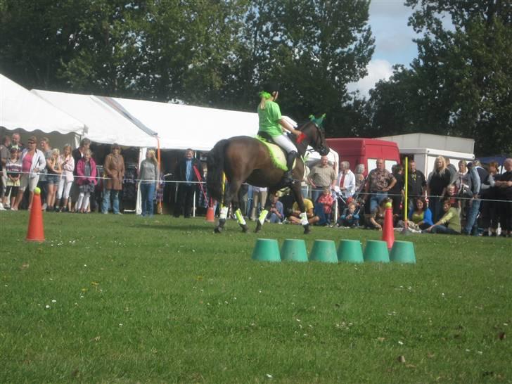 Gørlev Heste-og kræmmermarked :D billede 177