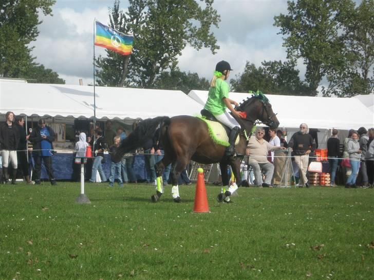 Gørlev Heste-og kræmmermarked :D billede 178