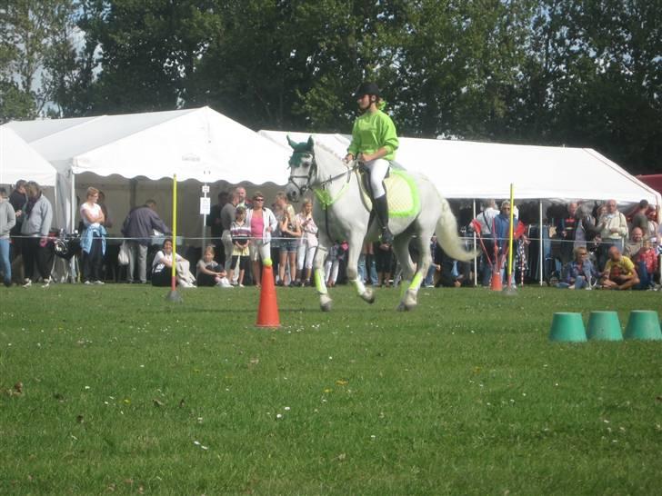 Gørlev Heste-og kræmmermarked :D billede 181