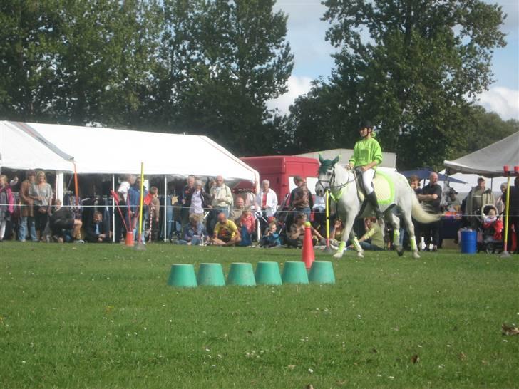 Gørlev Heste-og kræmmermarked :D billede 182