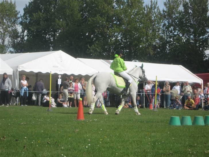 Gørlev Heste-og kræmmermarked :D billede 184