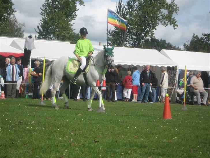 Gørlev Heste-og kræmmermarked :D billede 185