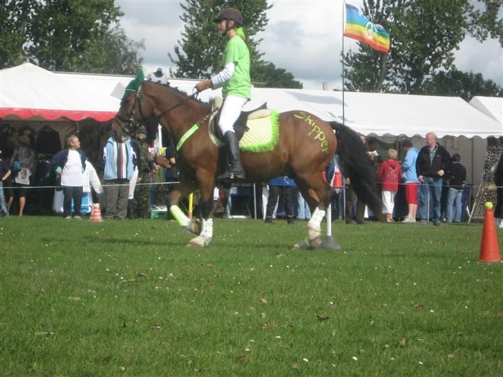 Gørlev Heste-og kræmmermarked :D billede 186