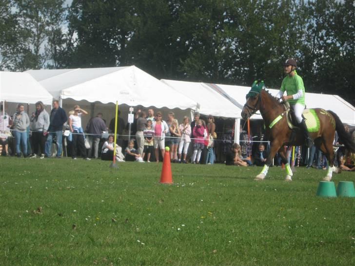 Gørlev Heste-og kræmmermarked :D billede 187