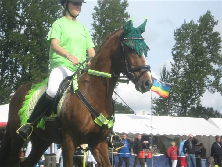 Gørlev Heste-og kræmmermarked :D billede 189