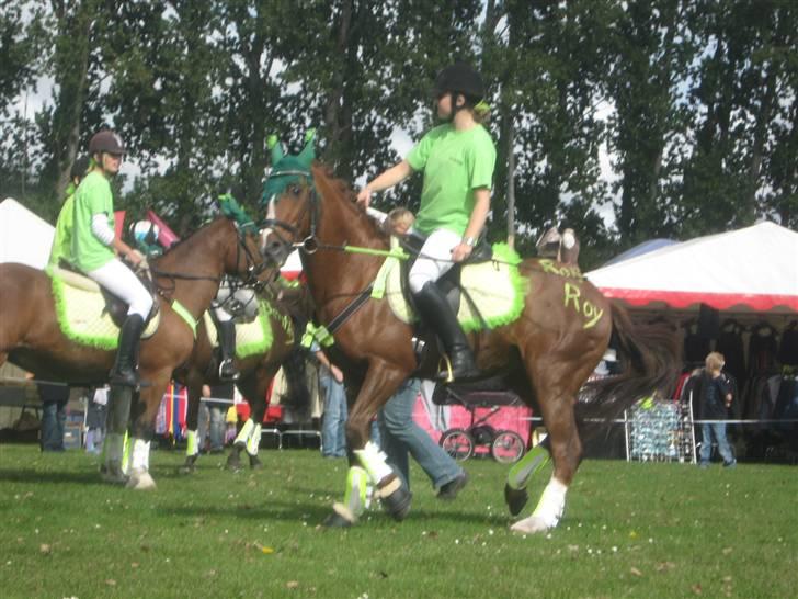 Gørlev Heste-og kræmmermarked :D billede 192