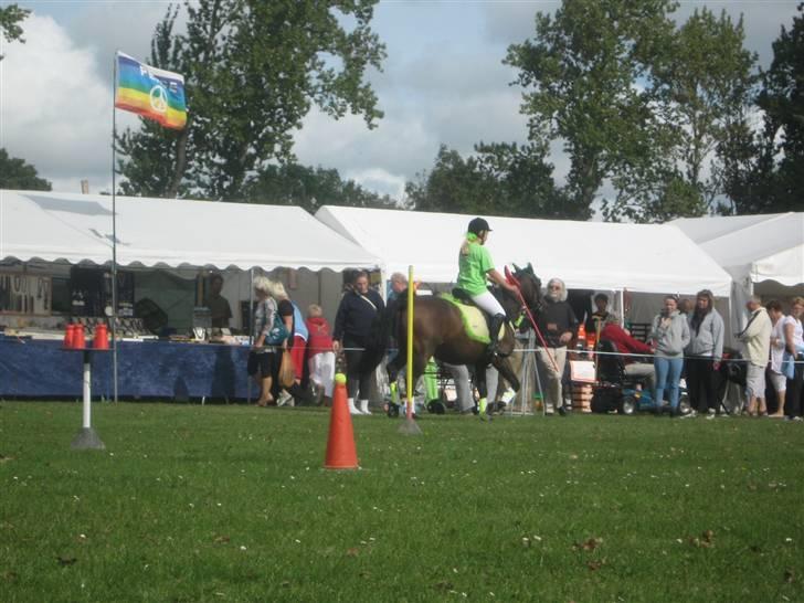 Gørlev Heste-og kræmmermarked :D billede 197