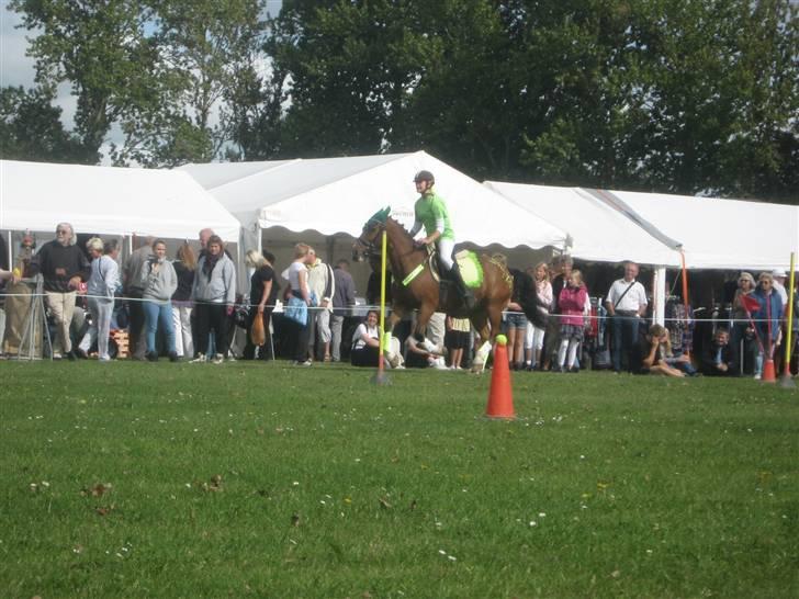 Gørlev Heste-og kræmmermarked :D billede 201