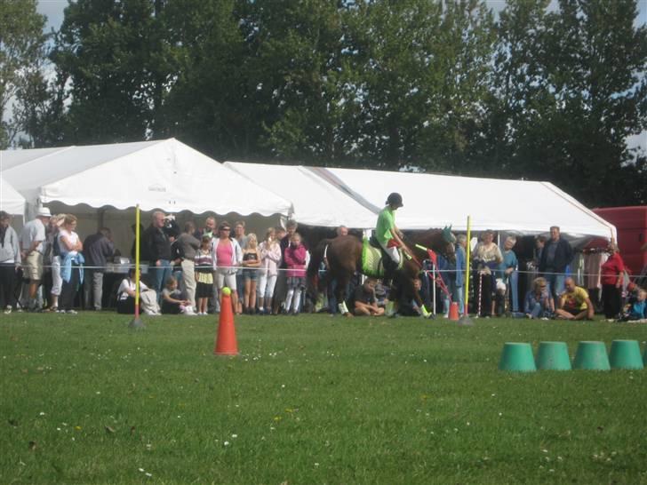 Gørlev Heste-og kræmmermarked :D billede 206