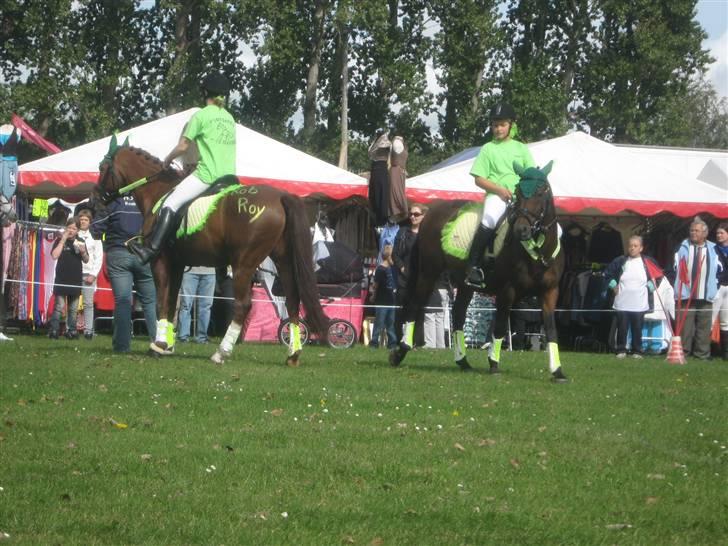 Gørlev Heste-og kræmmermarked :D billede 212