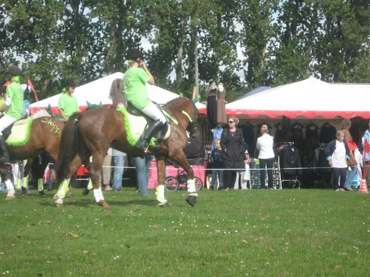 Gørlev Heste-og kræmmermarked :D billede 213