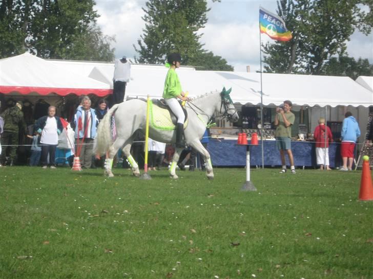 Gørlev Heste-og kræmmermarked :D billede 220