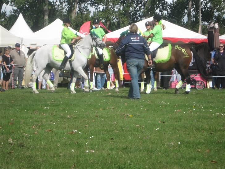 Gørlev Heste-og kræmmermarked :D billede 221