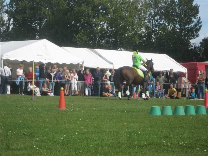 Gørlev Heste-og kræmmermarked :D billede 222