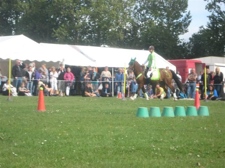 Gørlev Heste-og kræmmermarked :D billede 226