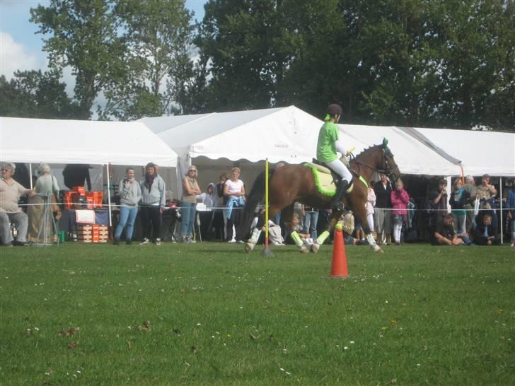 Gørlev Heste-og kræmmermarked :D billede 227