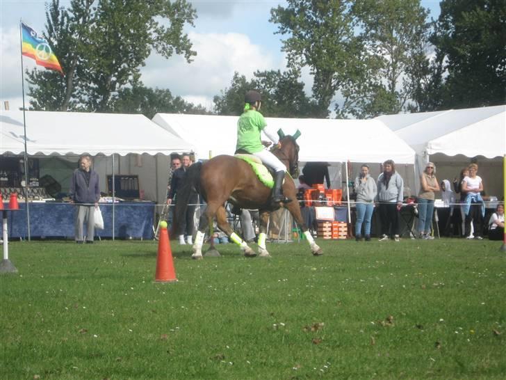 Gørlev Heste-og kræmmermarked :D billede 228