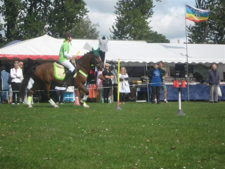 Gørlev Heste-og kræmmermarked :D billede 229