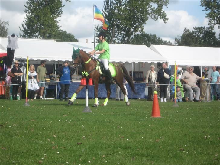 Gørlev Heste-og kræmmermarked :D billede 230