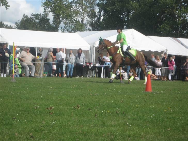 Gørlev Heste-og kræmmermarked :D billede 231