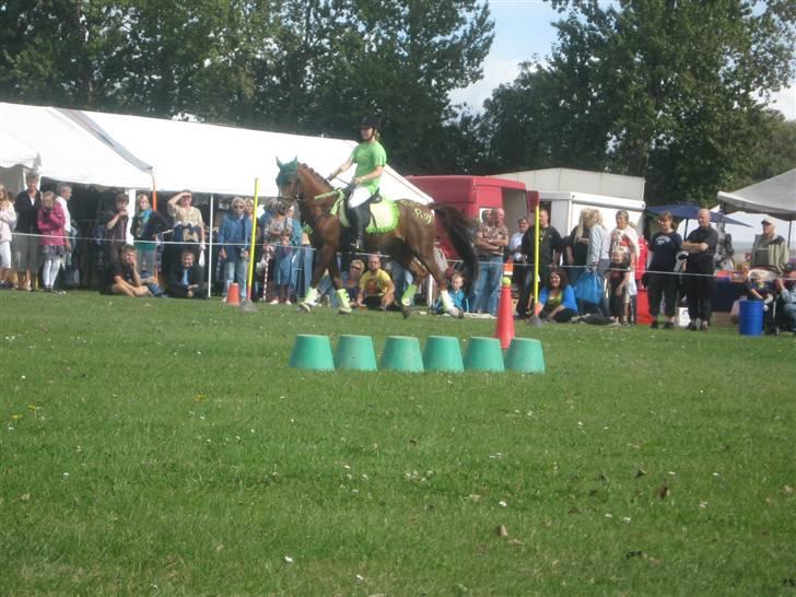 Gørlev Heste-og kræmmermarked :D billede 232