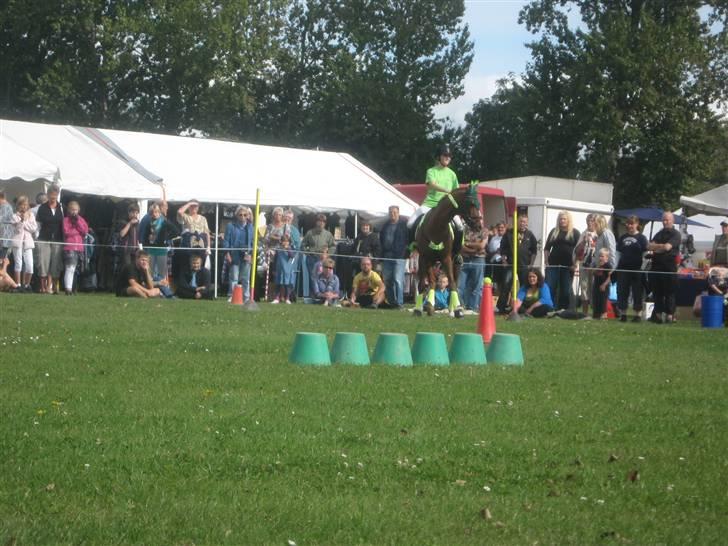 Gørlev Heste-og kræmmermarked :D billede 233